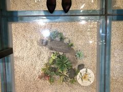 -确喜美味小厨(西单商场兰州店)