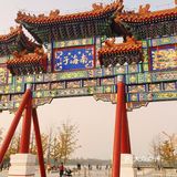 免费公园 近距离接触小动物