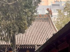 -罔极寺