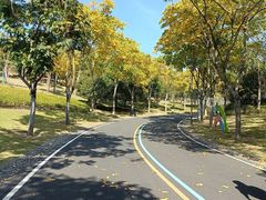 -牛岗山公园