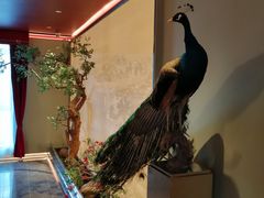 -俏江南天津时尚曲艺主题餐厅(马场道店)