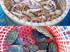 -巧克力渔家.小船海鲜胶东菜(万平口店)