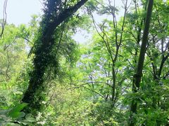 -大蜀山国家森林公园