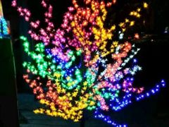 -老鞑子烤羊腿(海口店)