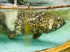 -大天然酒店(军民路店)