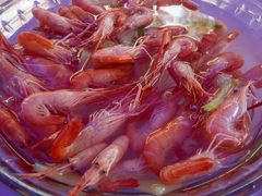 小白虾-渔满仓海鲜渔家(象山二店)