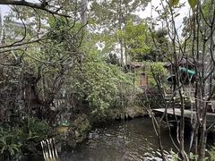 -花溪雨·森林餐厅(石基店)