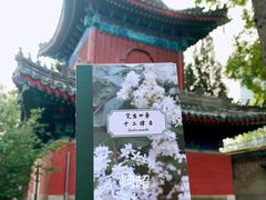 -大钟寺古钟博物馆