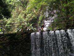 -观澜山水田园
