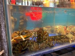 水产区-渔家大院·地道威海菜(石岛店)
