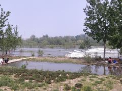 -永定河休闲森林公园