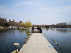 -前关湿地公园