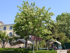 -日照海滨国家森林公园