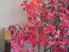 -德天雪花肥牛海鲜火锅(南苑东路店)