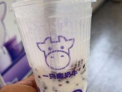 -一只酸奶牛(洪崖洞11楼店)