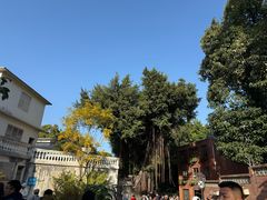 -龙泉山庄