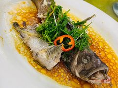 -有腥气私房菜·寻味顺德