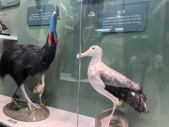 -国家自然博物馆