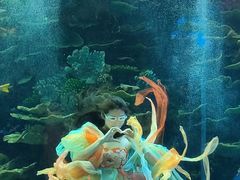 -泉城欧乐堡海洋极地世界