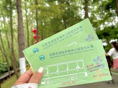 -合肥滨湖国家森林公园