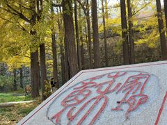 -阳台山自然风景区