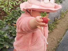 -会江钓鱼钓虾烧烤场