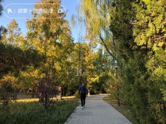 -元大都城垣遗址公园