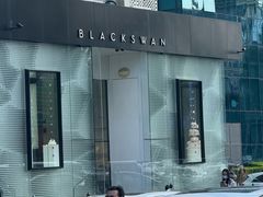 -BLACKSWAN黑天鹅(环球店)