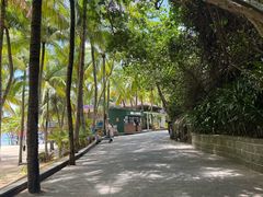 -海南分界洲岛旅游区