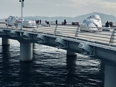 -演武大桥观景平台
