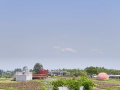 -空港花田景区