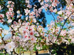 -白塘生态植物园