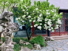 -苏州园林博物馆