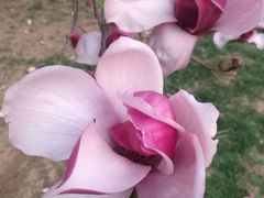 -北京宽沟会议中心