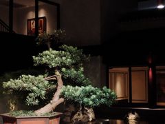 -苏州吴宫泛太平洋酒店