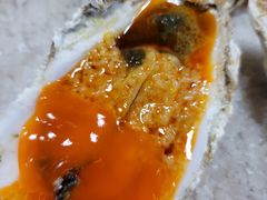 -徐嘉赫龙虾馆
