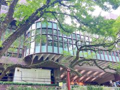 -香港大学