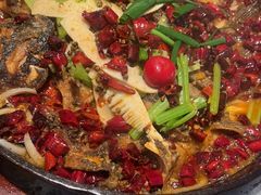 -老板恋上鱼(恒隆广场店)