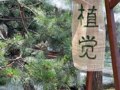 -熙古里艺术村