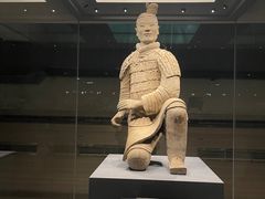 -秦始皇帝陵博物院(兵马俑)