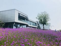 -猫的天空之城概念书店(北戴河蔚蓝海岸店)