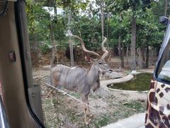 -清迈夜间动物园