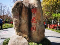 -高东镇樱花园