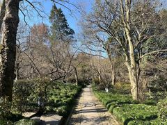 -杭州植物园