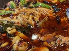 -都江堰石锅鱼