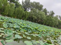 -中国农业博物馆