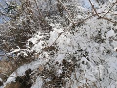 -终南山南五台景区