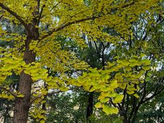 -长白岛森林公园