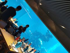 -海棠湾洲际-涛·海底餐厅·美人鱼·自助餐·海底隧道