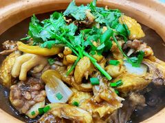 -广宁炭炉鸡煲·富临门饭店